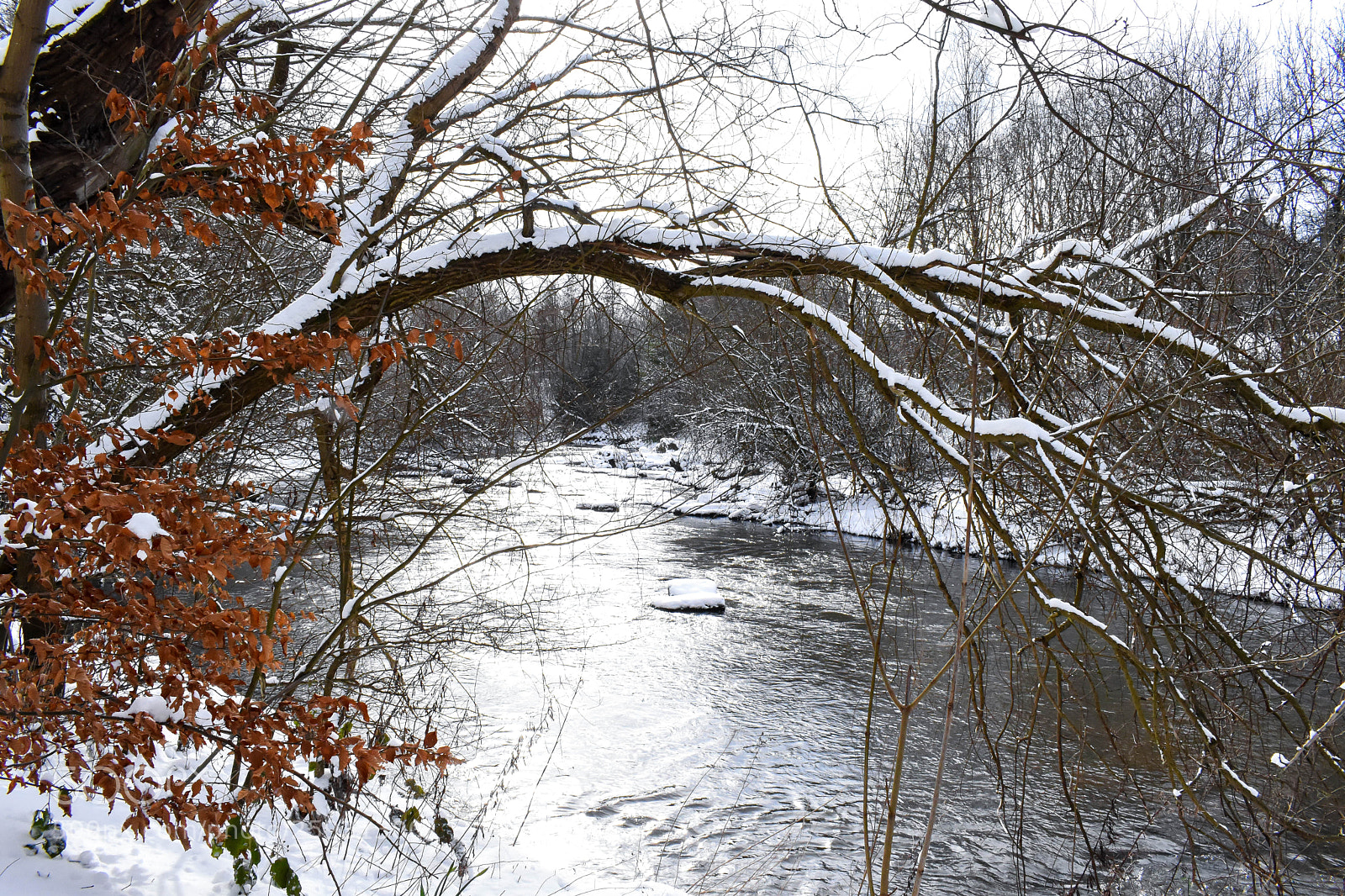 Nikon D5600 sample photo. Water and snow photography