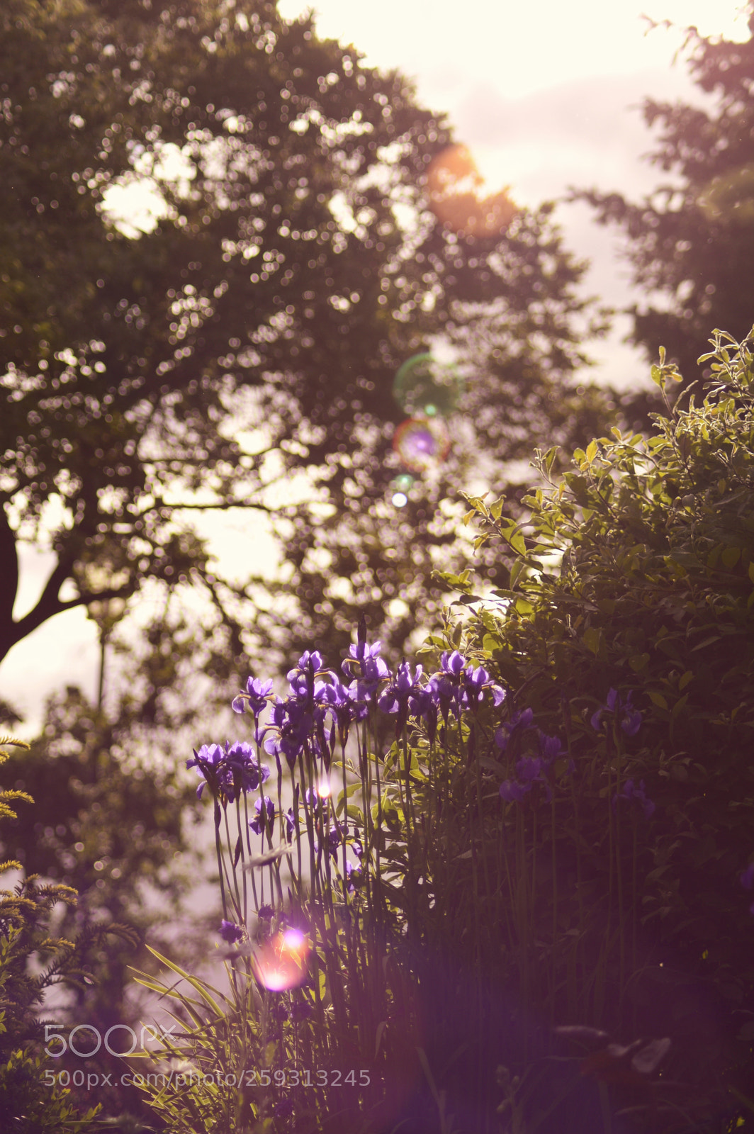 Nikon D3200 sample photo. Untitled photography