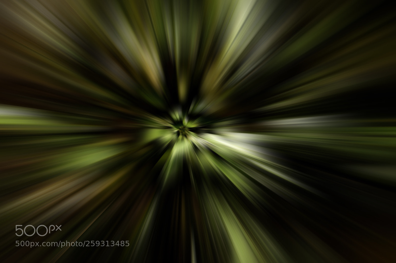 Canon EOS 5D Mark IV sample photo. Abstract  photography