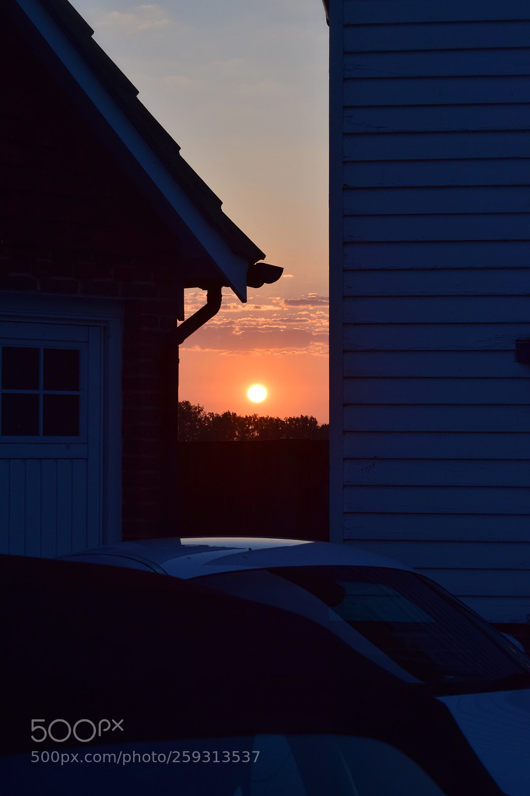 Nikon D5300 sample photo. Sunset in my hood photography
