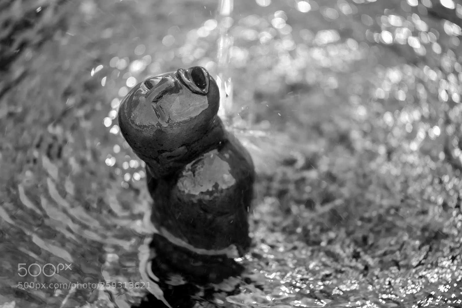 Fujifilm X-T2 sample photo. Take a shower... photography