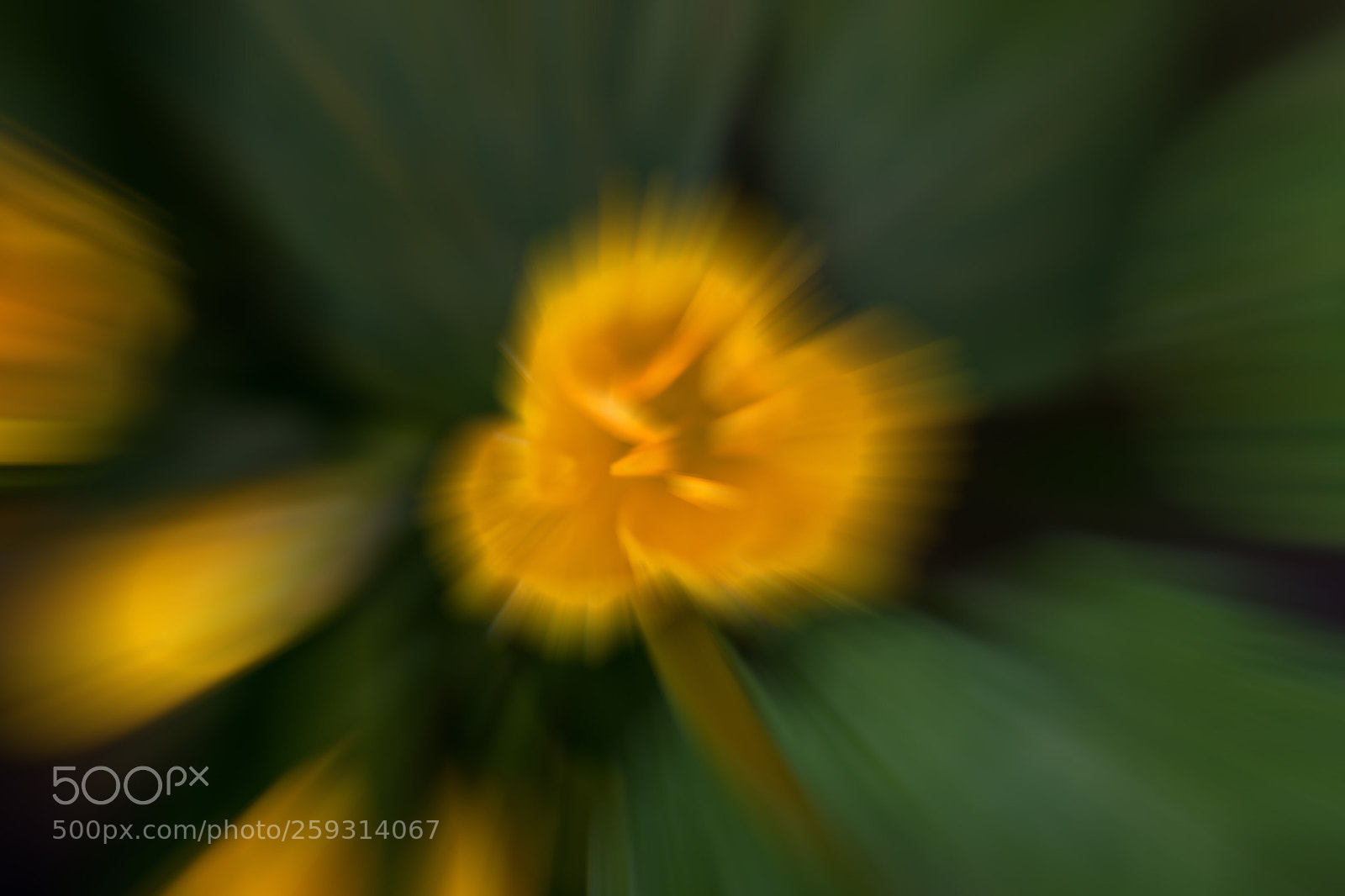 Canon EOS 70D sample photo. Abstract photography