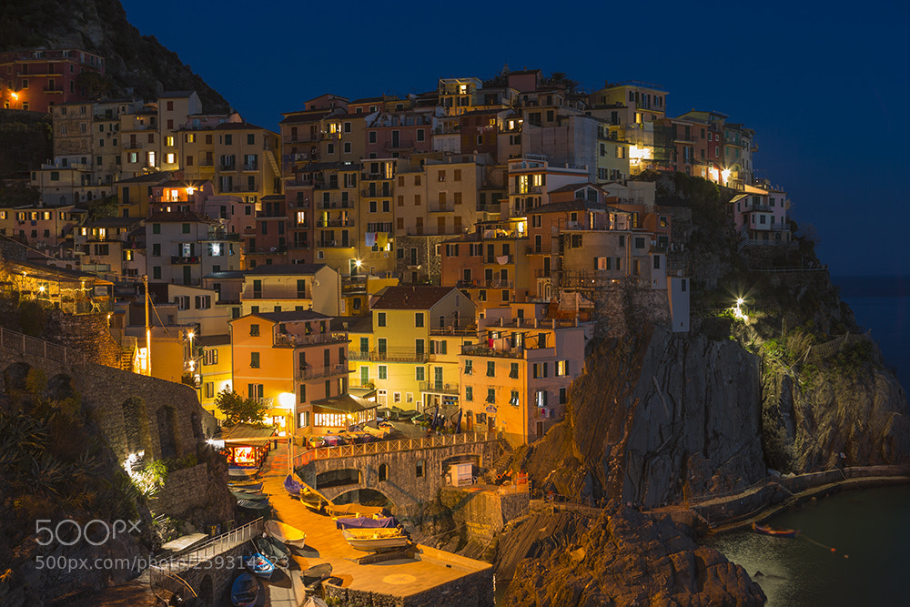 Canon EOS-1D X sample photo. Manarola at night photography