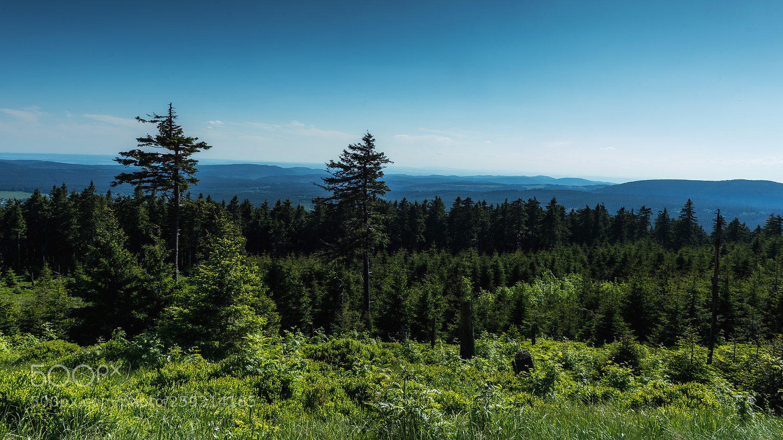 Nikon D4 sample photo. Blue and green photography