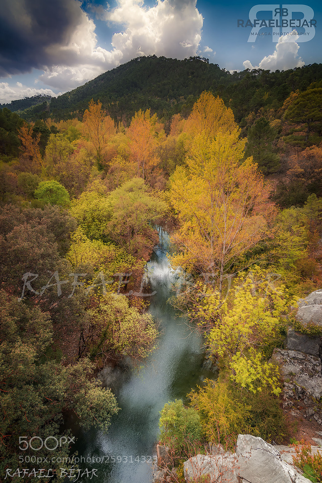 Nikon D800 sample photo. Hdr 5 tomas photography