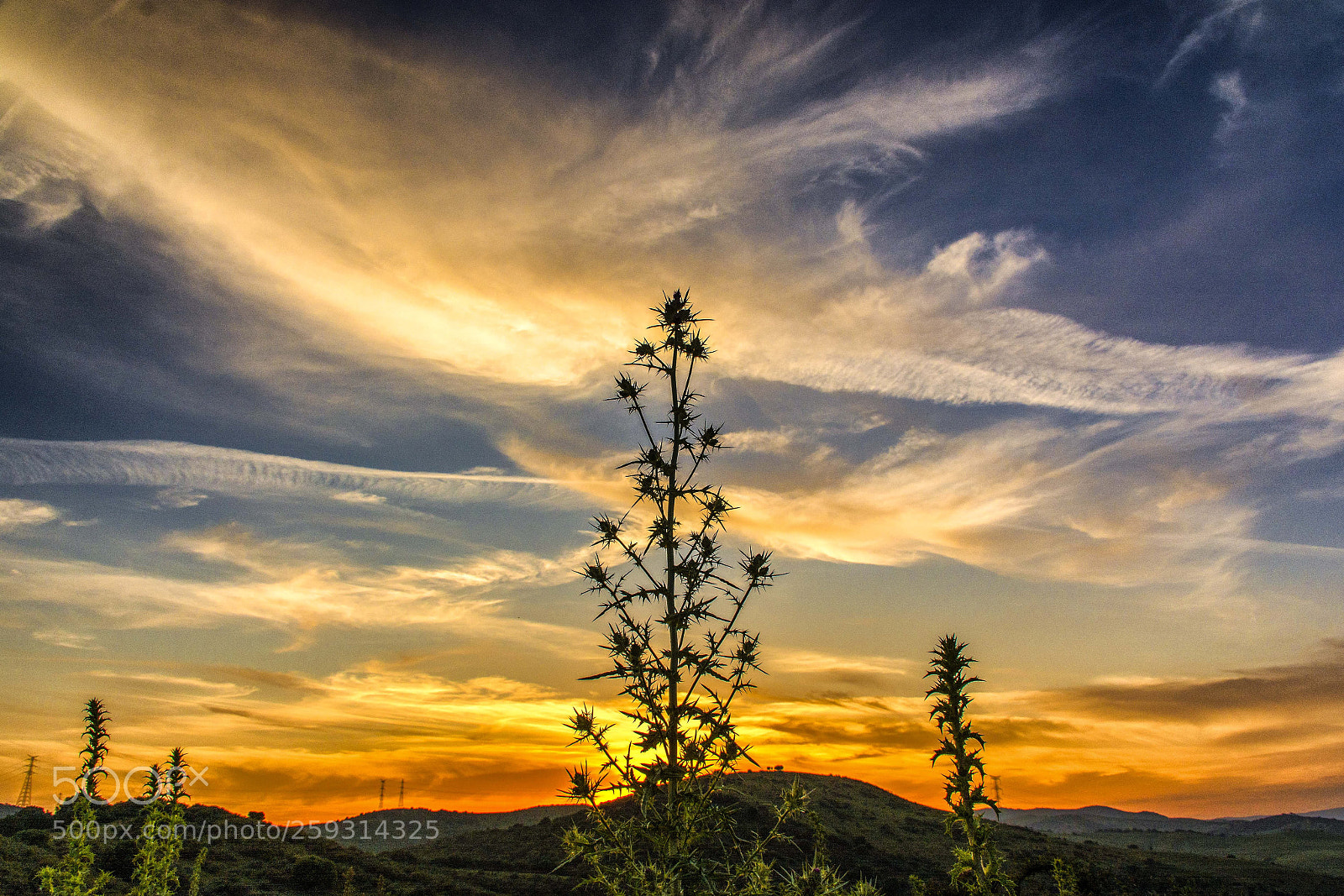 Nikon D7100 sample photo. Atardecer photography