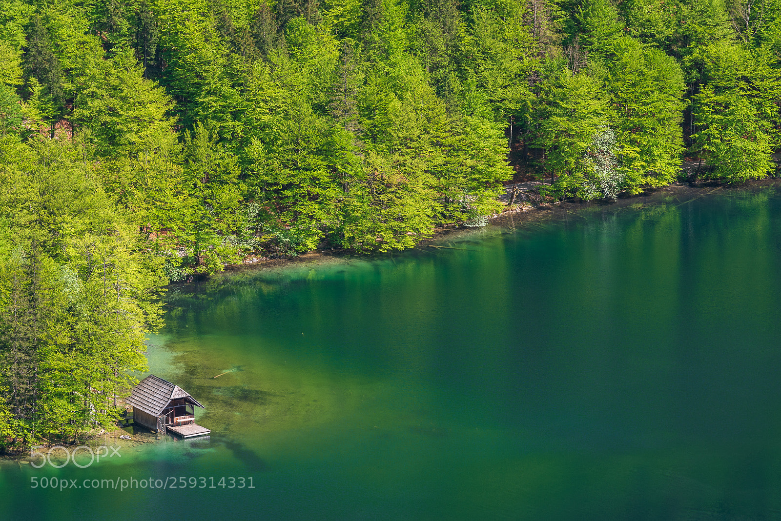 Nikon D750 sample photo. Hut hut hut photography