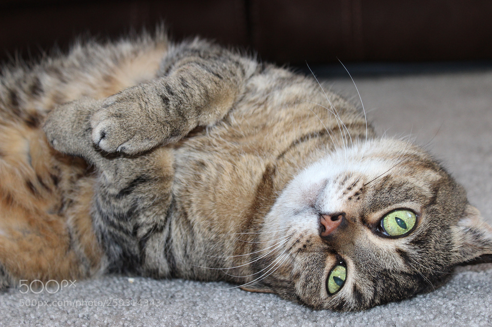 Canon EOS 600D (Rebel EOS T3i / EOS Kiss X5) sample photo. Upside down class critique photography