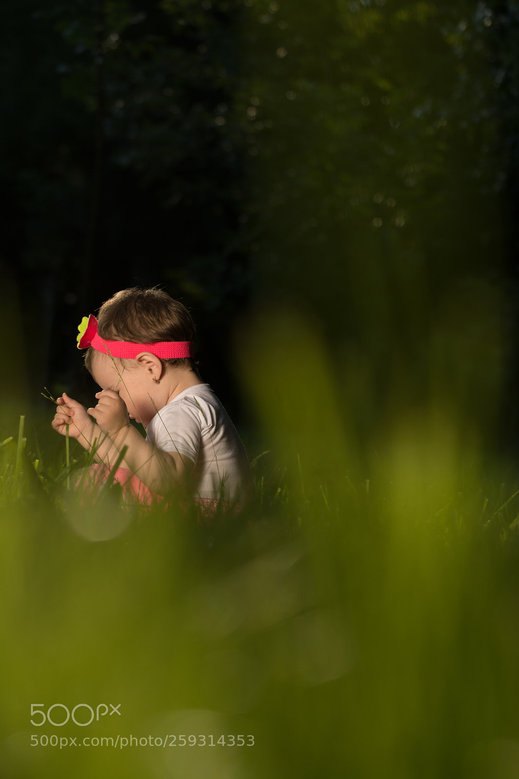 Nikon D7100 sample photo. Return to innocence photography