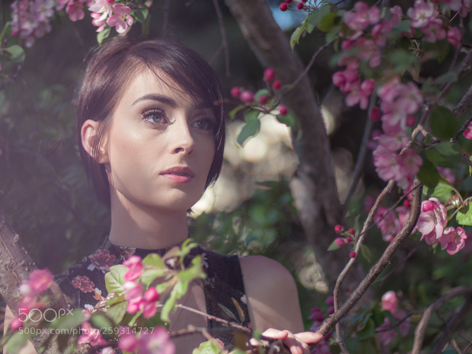 Panasonic Lumix DC-GH5 sample photo. Hayley spring photography