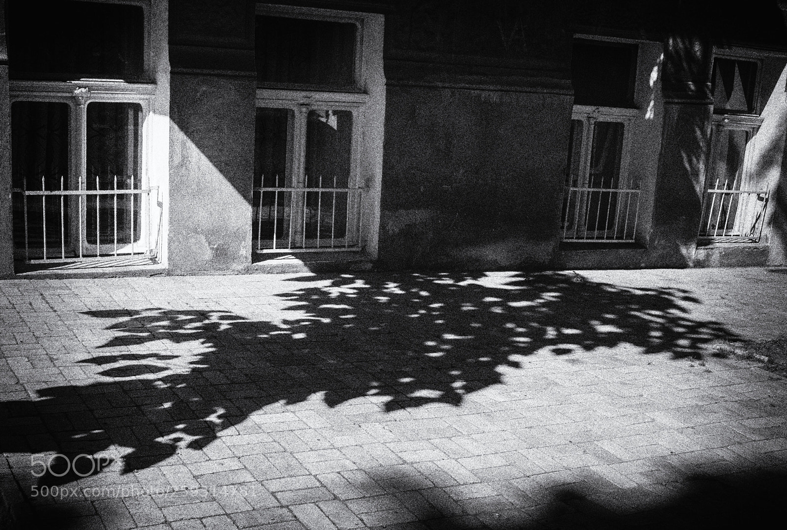 Canon EOS 5D sample photo. Untitled photography