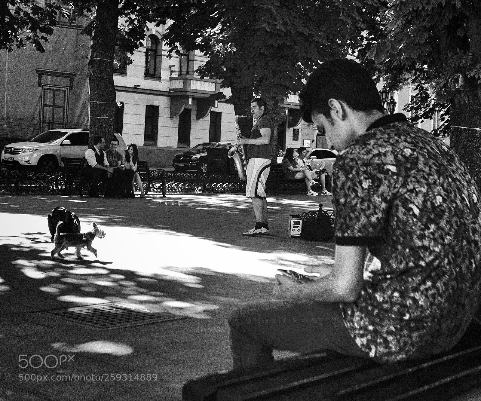 Canon EOS 5D sample photo. Untitled photography