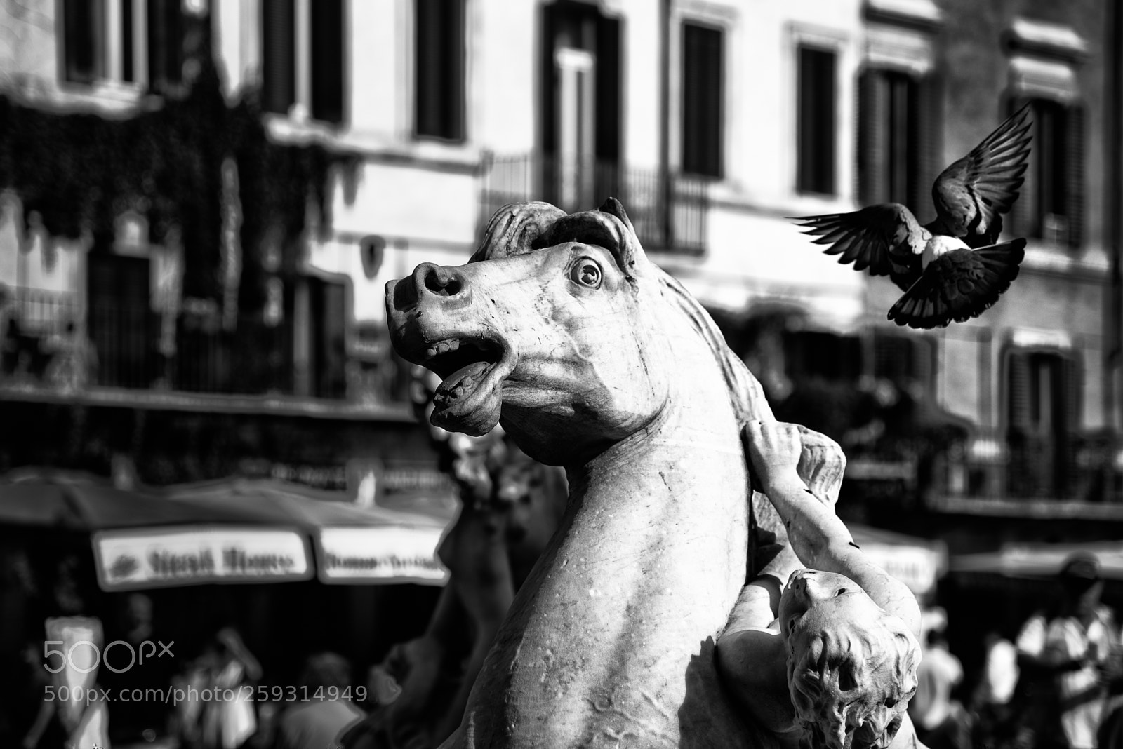 Nikon D750 sample photo. Air attack photography