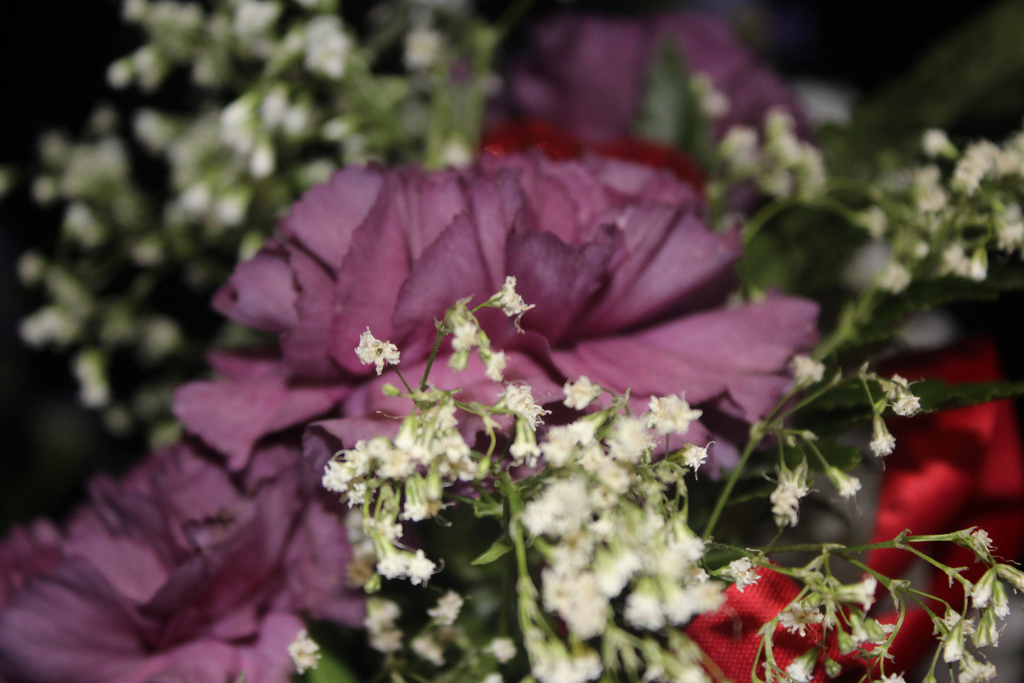 Canon EF-S 18-55mm F3.5-5.6 IS sample photo. Compositon photography