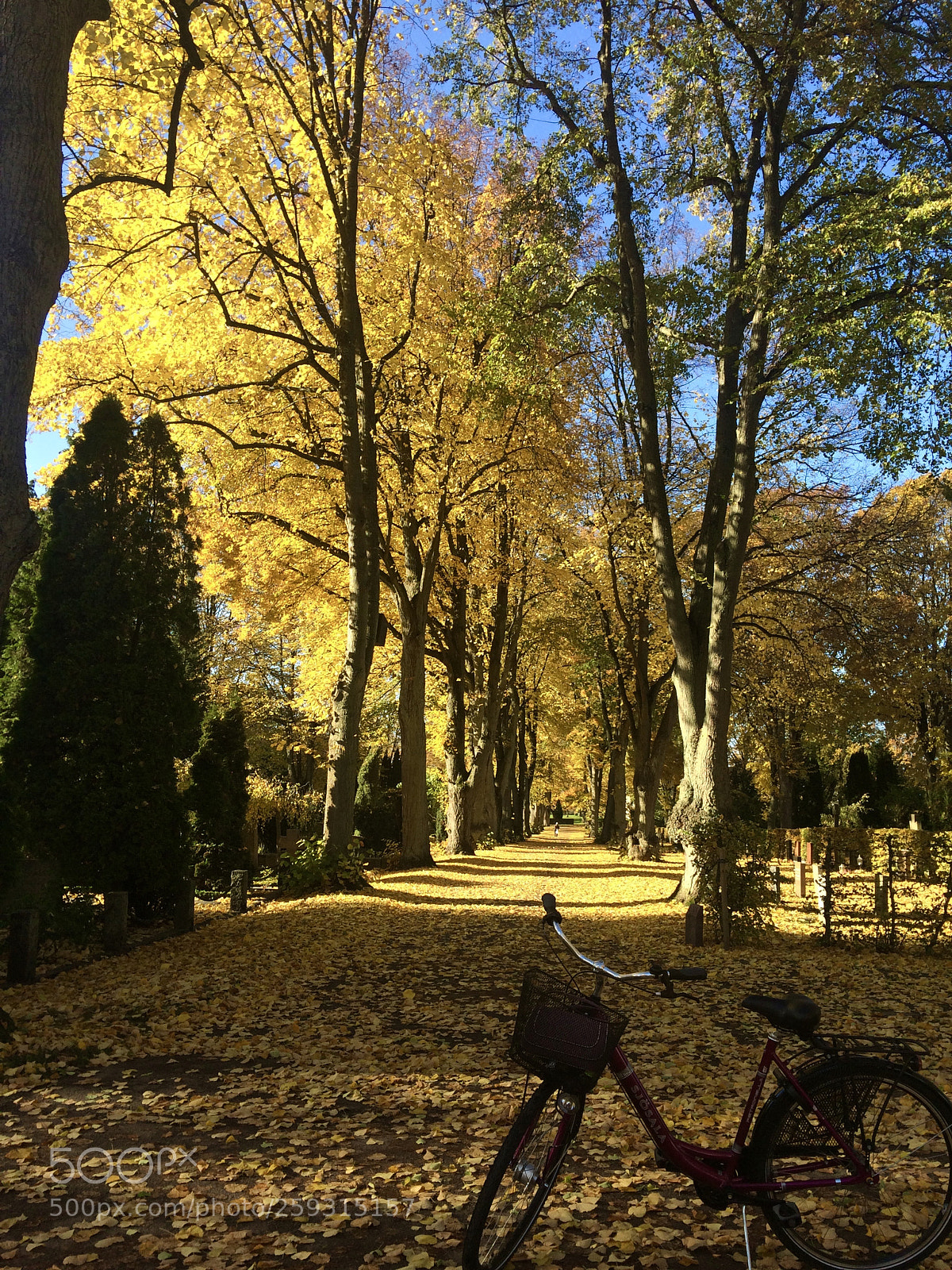 Apple iPhone 5s sample photo. Autumnal colors photography