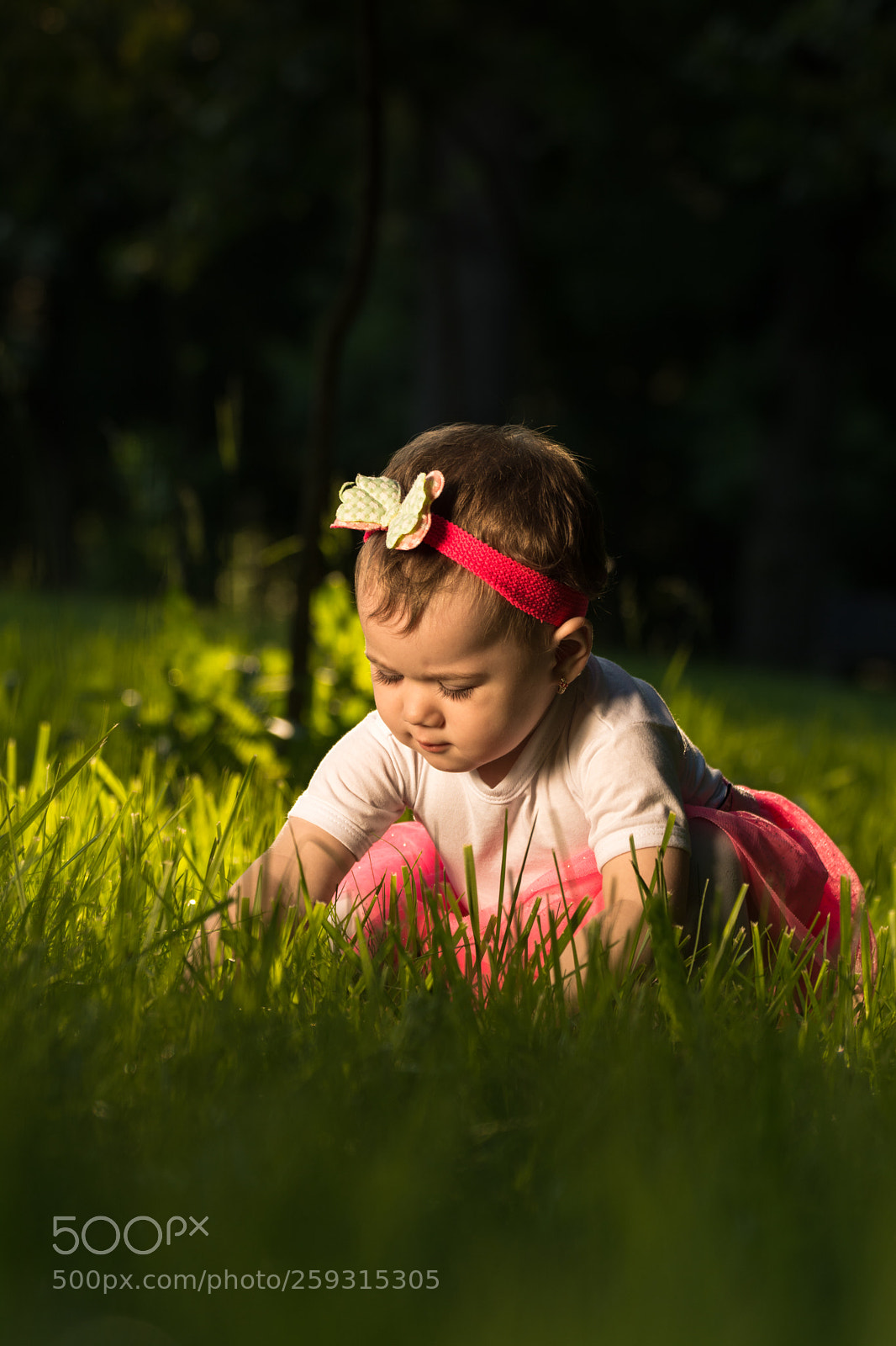 Nikon D7100 sample photo. Return to innocence  2 photography