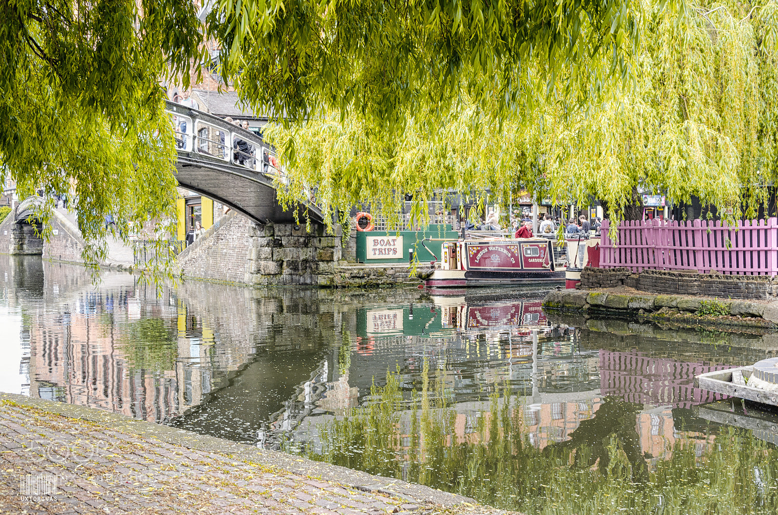 Nikon D5100 sample photo. Candem photography