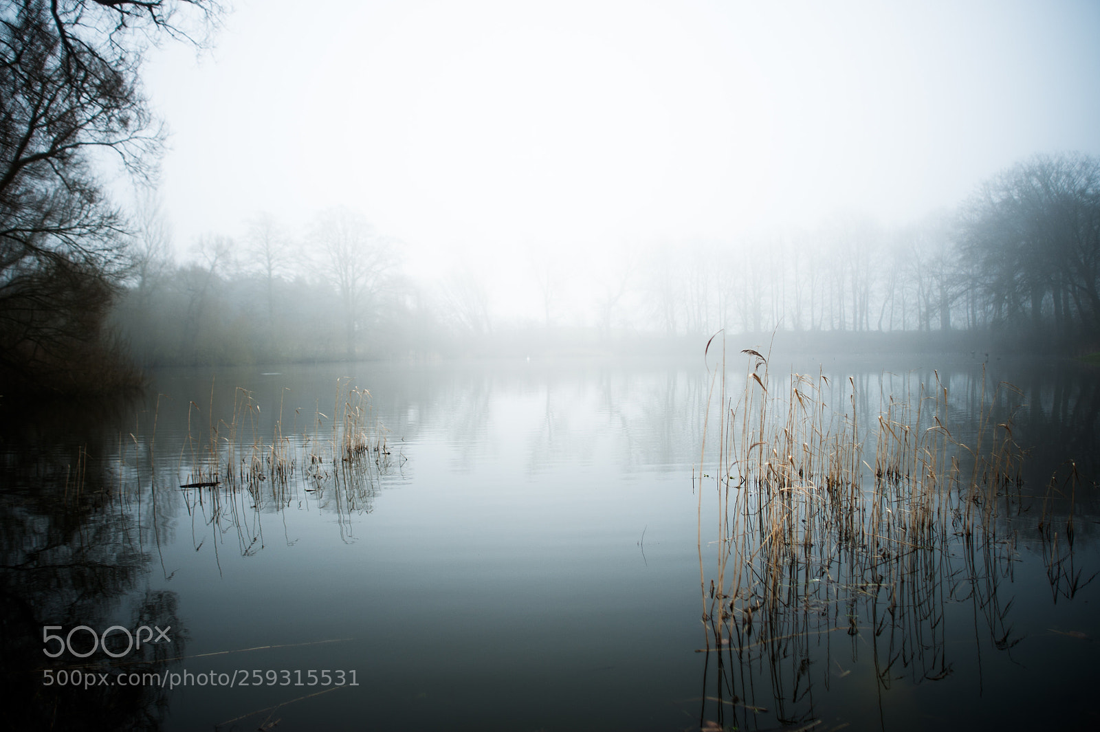 Nikon D700 sample photo. Misty lake photography