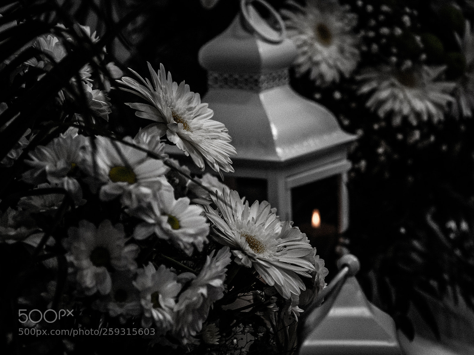Olympus OM-D E-M10 II sample photo. Flowers and candle photography