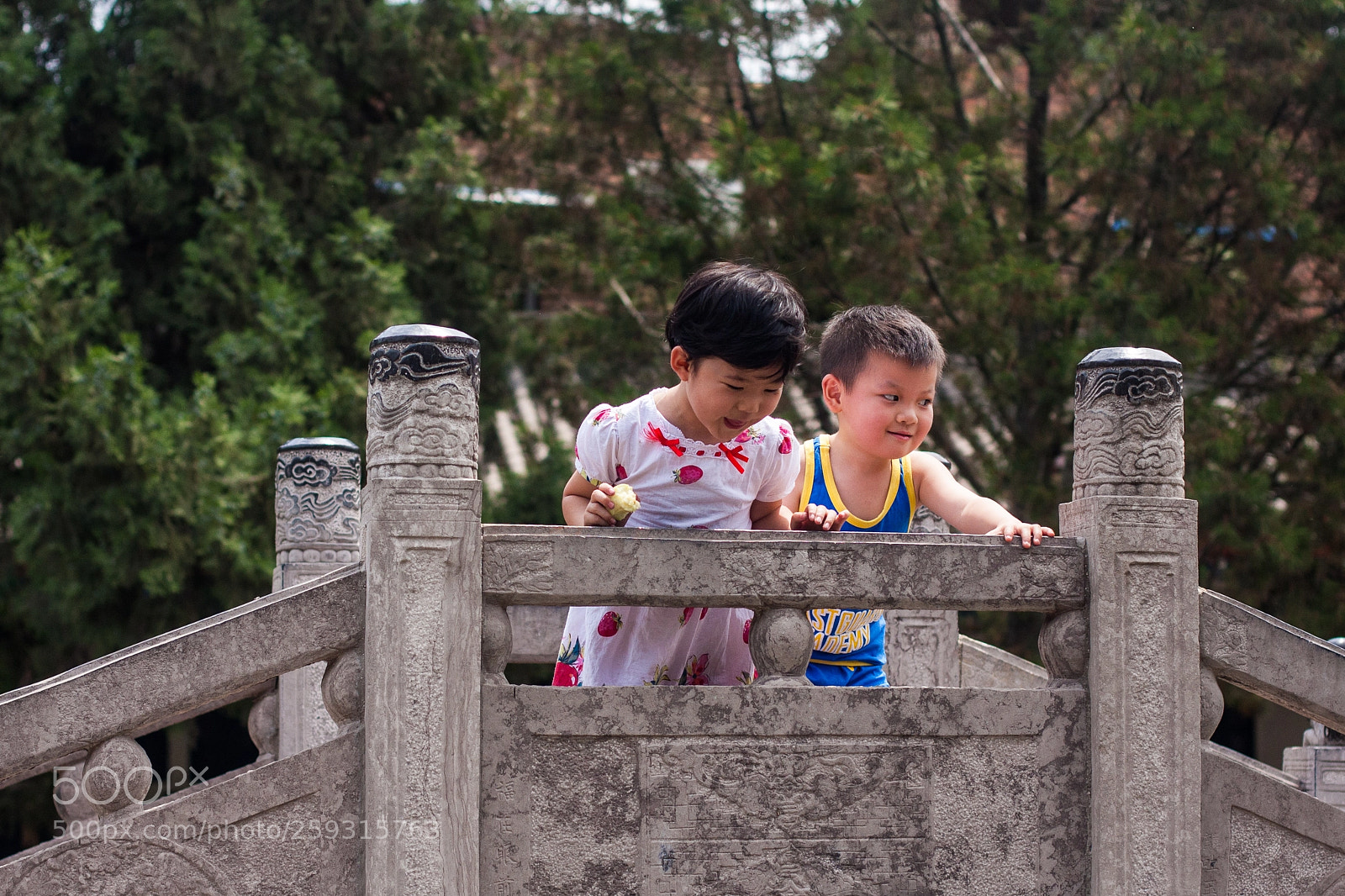 Canon EOS 40D sample photo. Bridge at ba xian photography