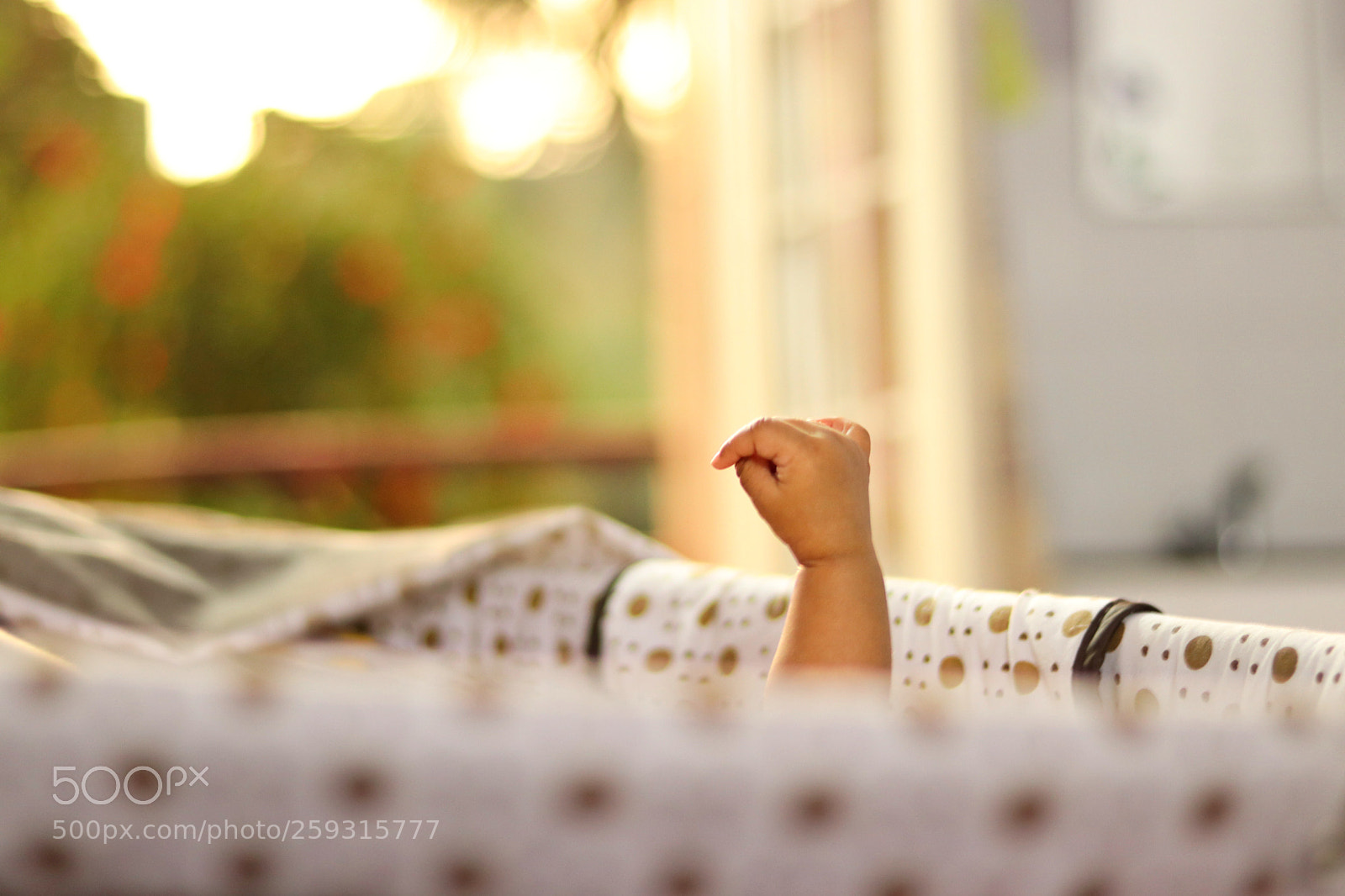 Canon EOS 800D (EOS Rebel T7i / EOS Kiss X9i) sample photo. My angel photography