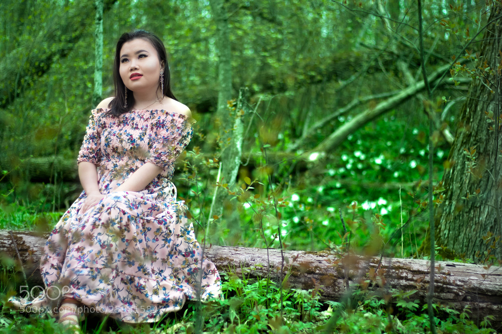 Canon EOS 80D sample photo. Img photography