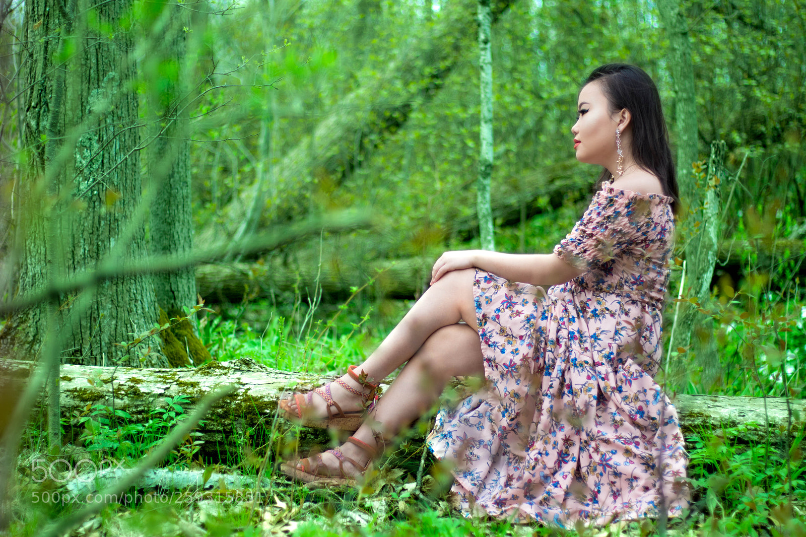 Canon EOS 80D sample photo. Img photography
