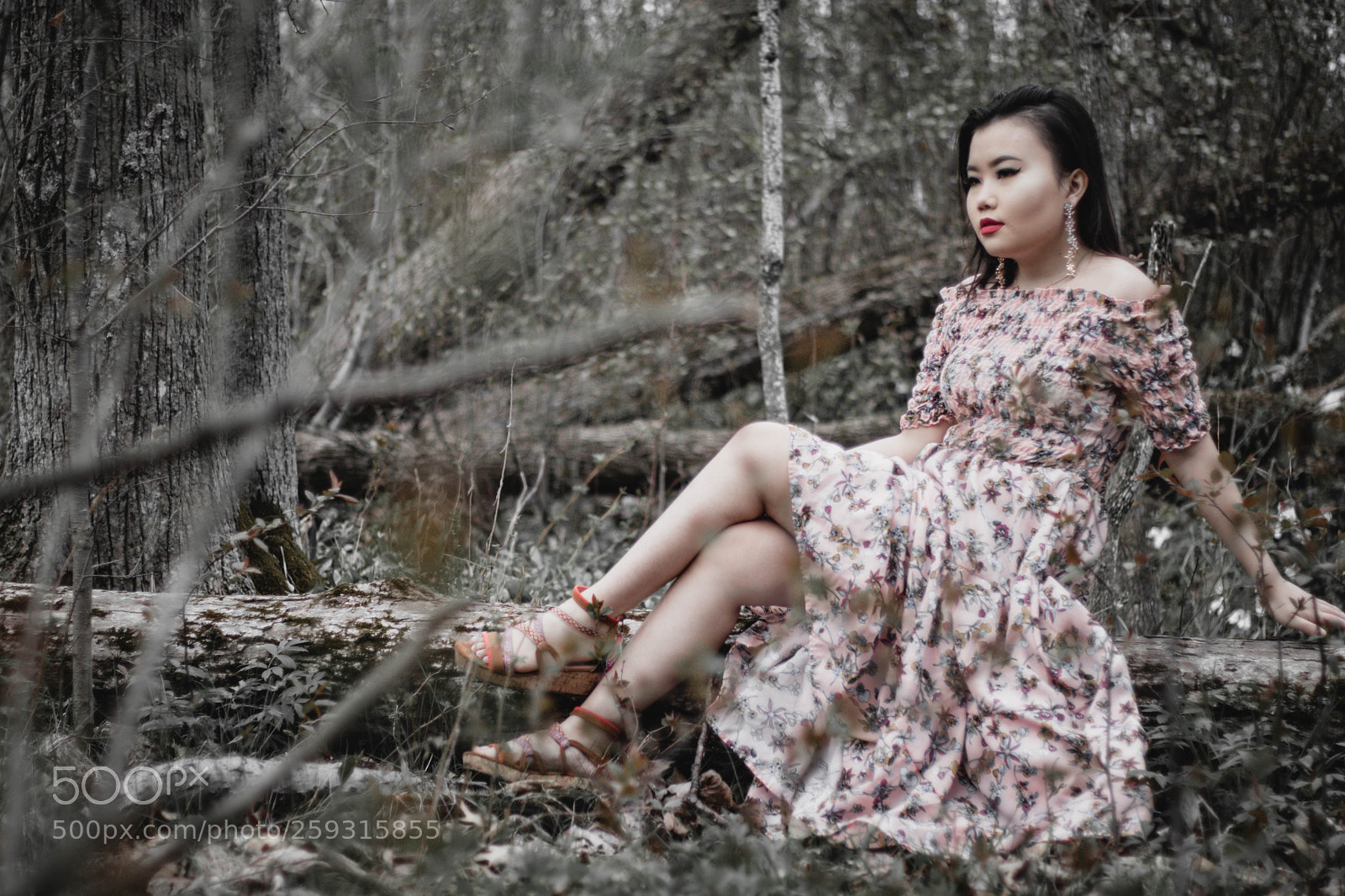 Canon EOS 80D sample photo. Img photography