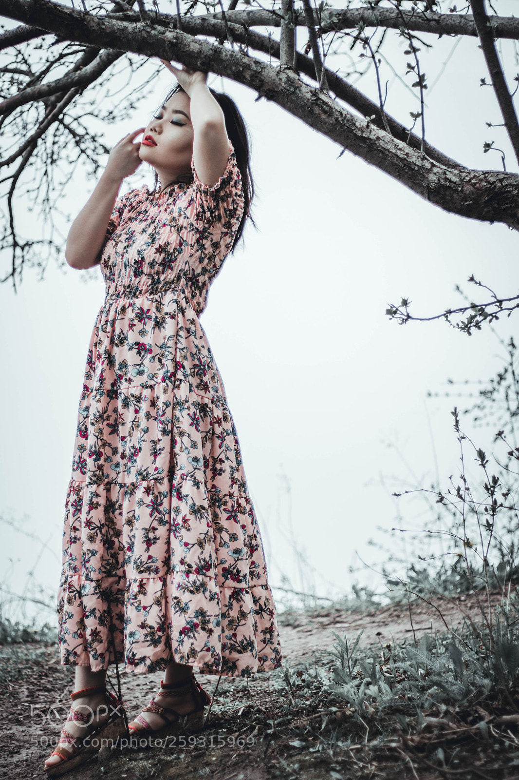 Canon EOS 80D sample photo. Img photography
