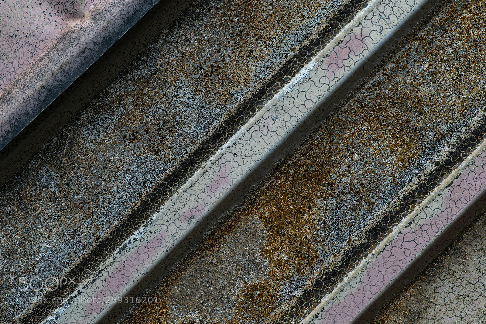 Nikon D5300 sample photo. Puzzling world photography