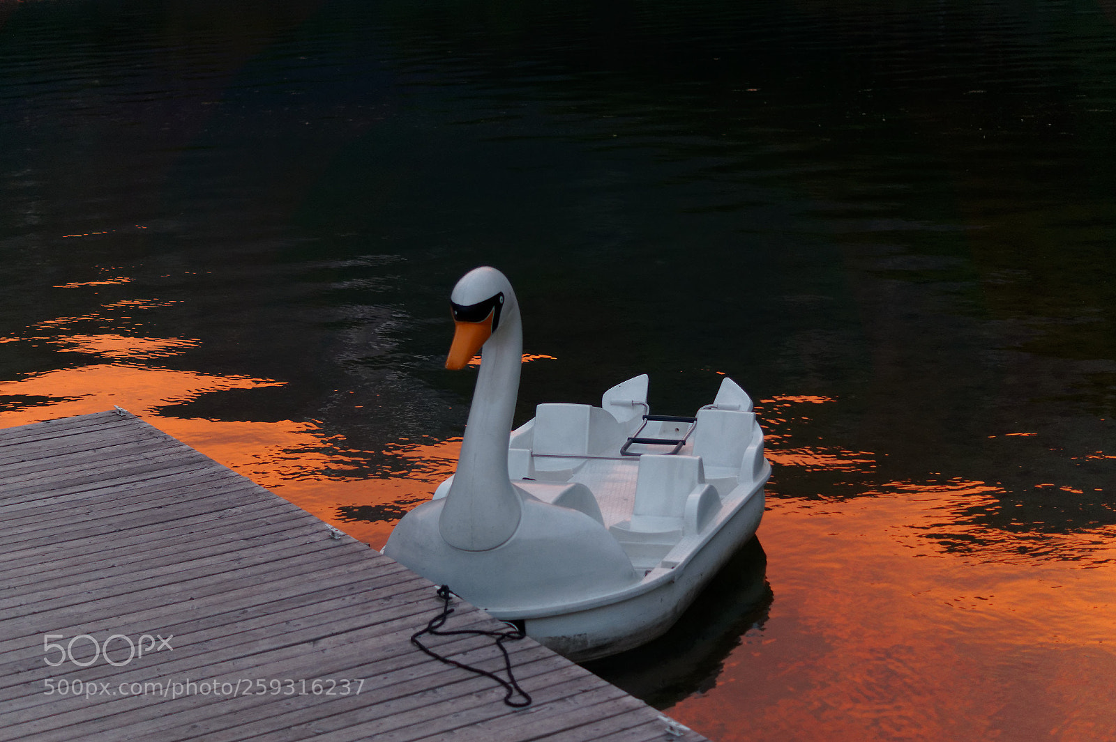Sony SLT-A58 sample photo. Swan boat photography