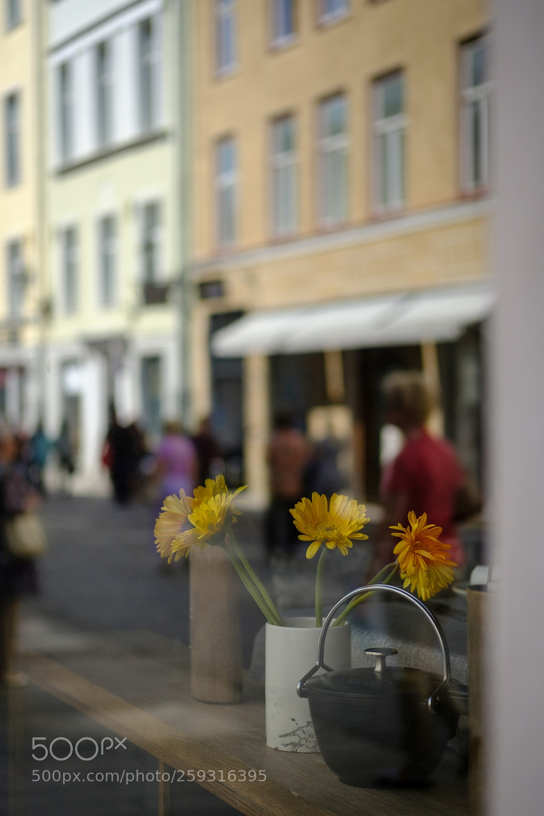 Fujifilm X-T20 sample photo. Flowers on the window photography