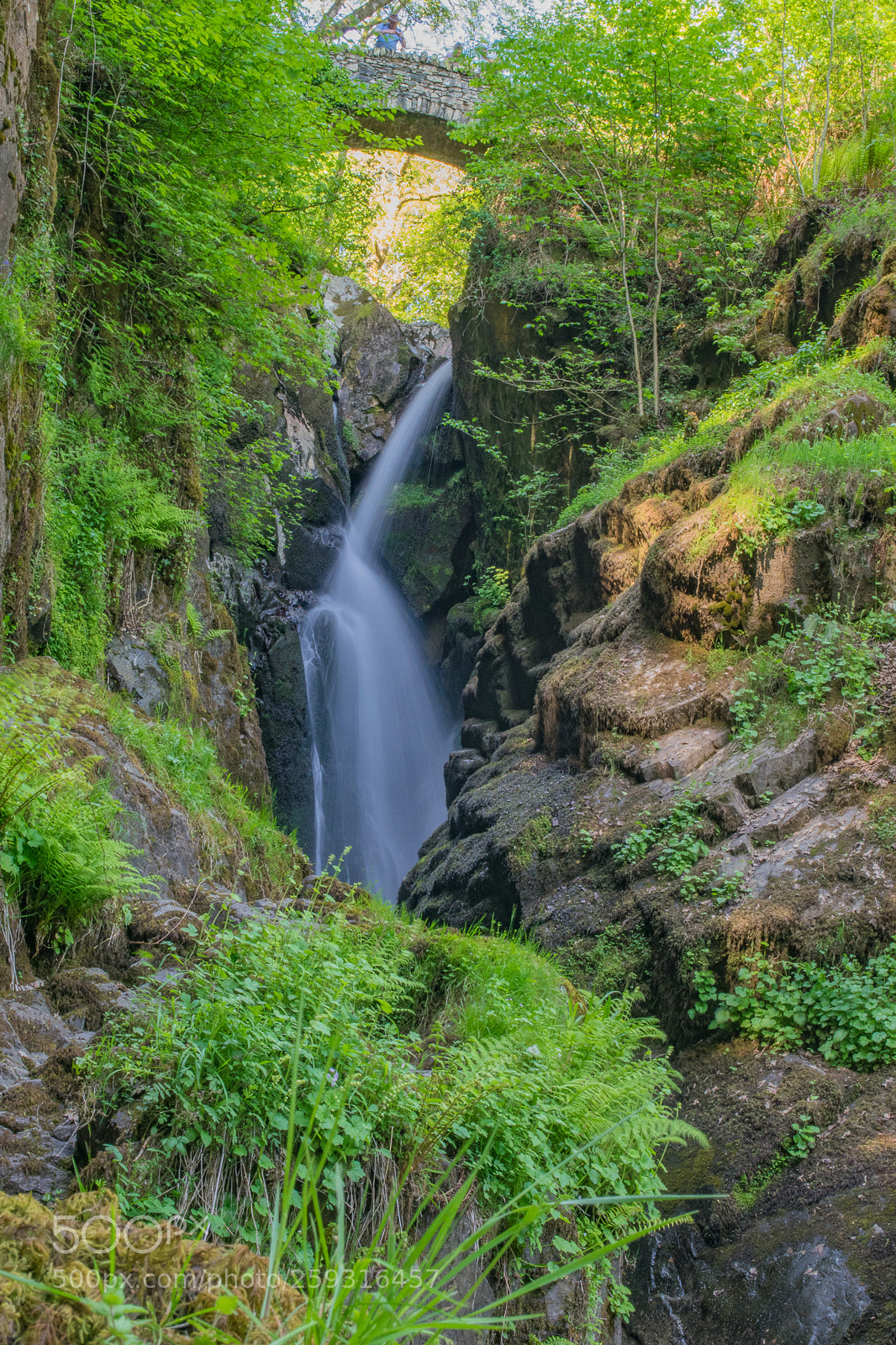 Nikon D5300 sample photo. Aira force waterfall photography