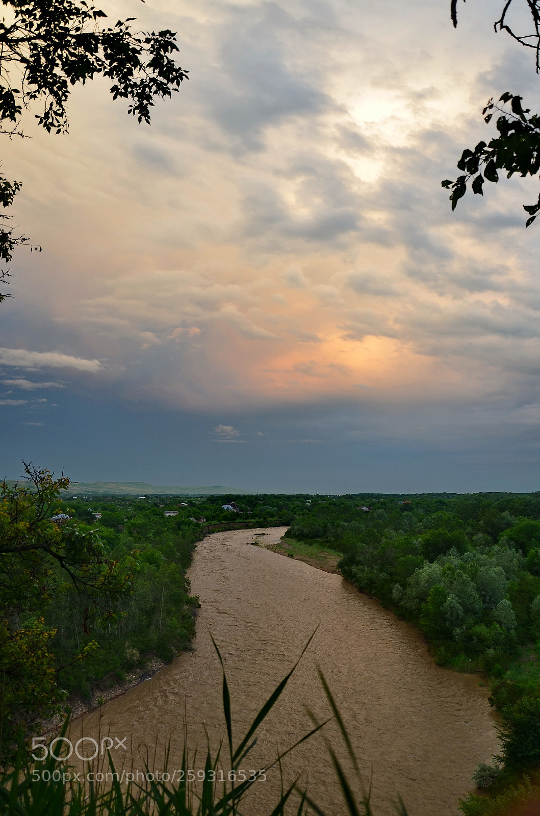 Nikon D5100 sample photo. Untitled photography