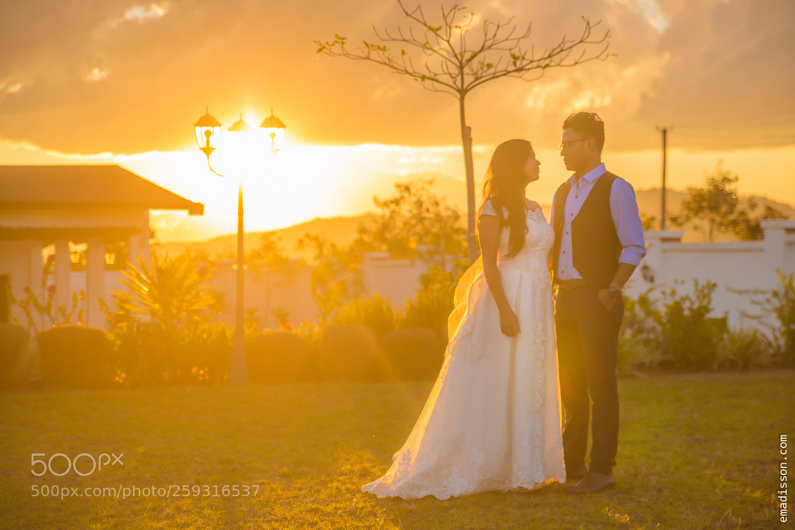 Canon EOS 6D sample photo. Golden love photography