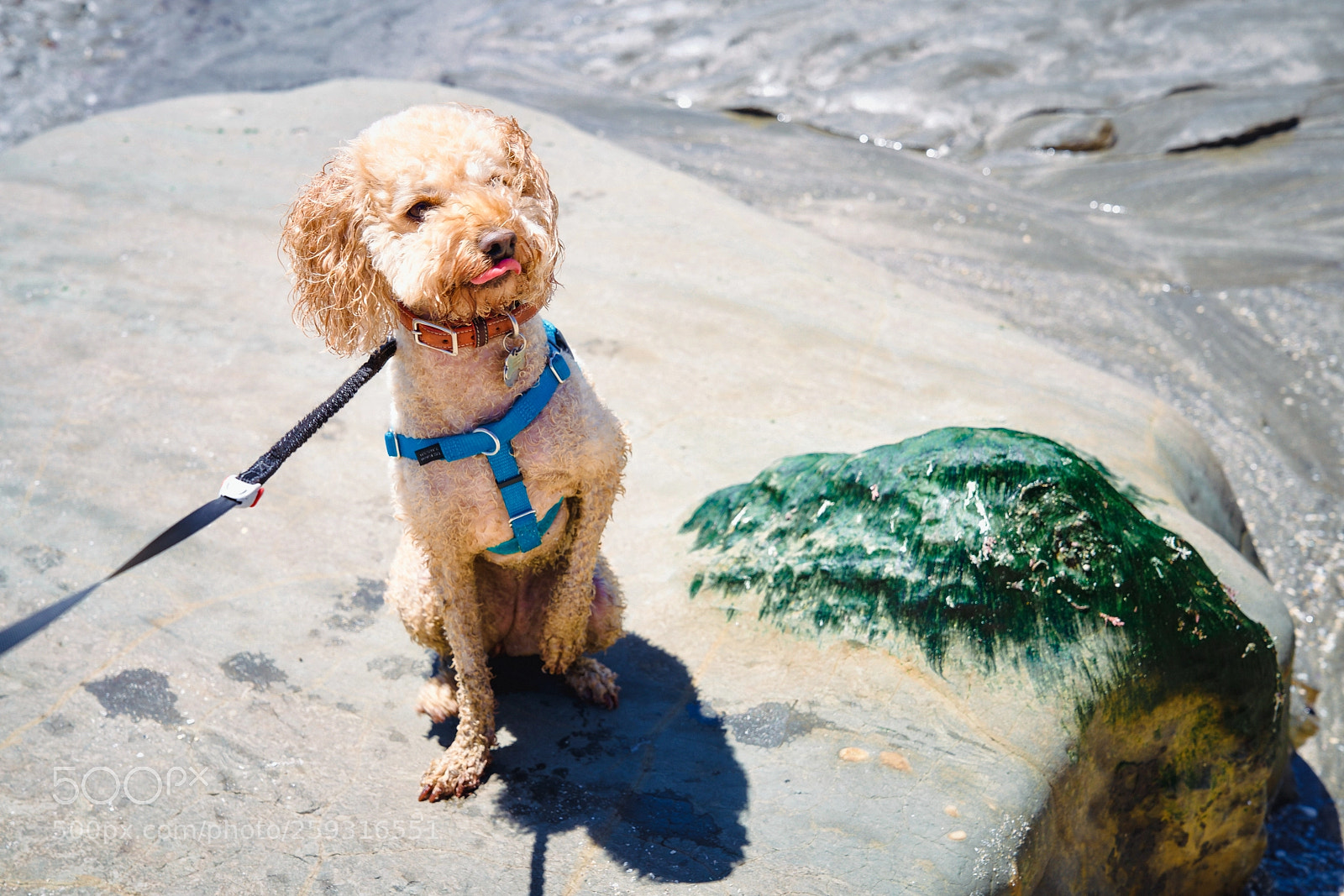 Sony a7R II sample photo. Beach day photography