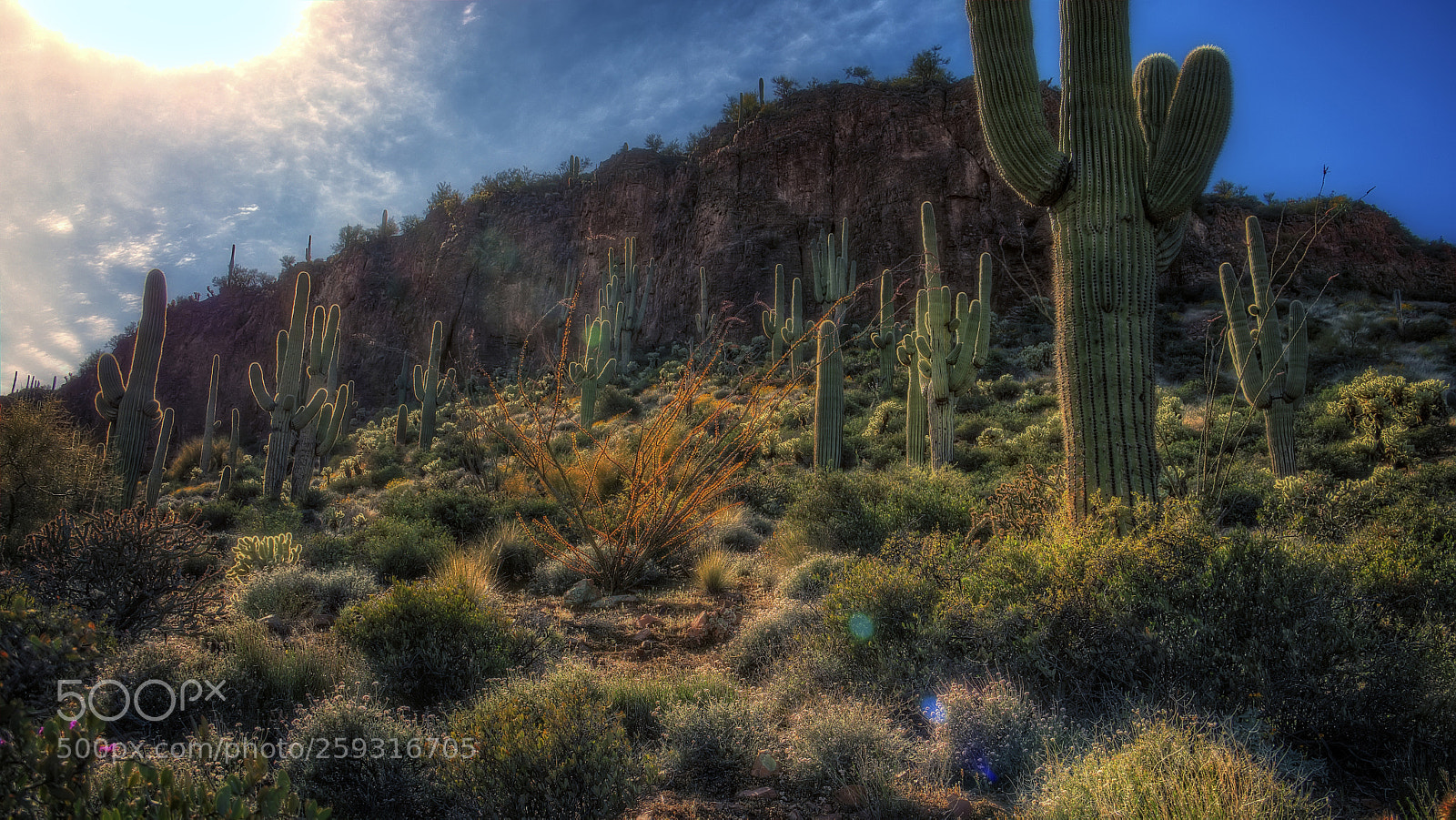 Canon EOS 7D Mark II sample photo. The superstition wilderness photography