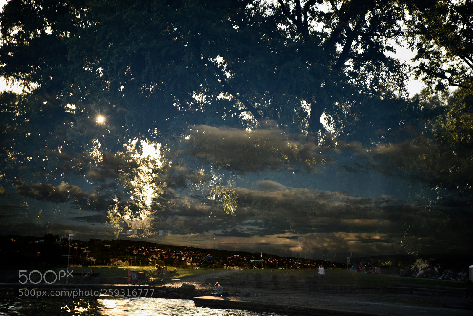 Nikon D750 sample photo. Untitled photography