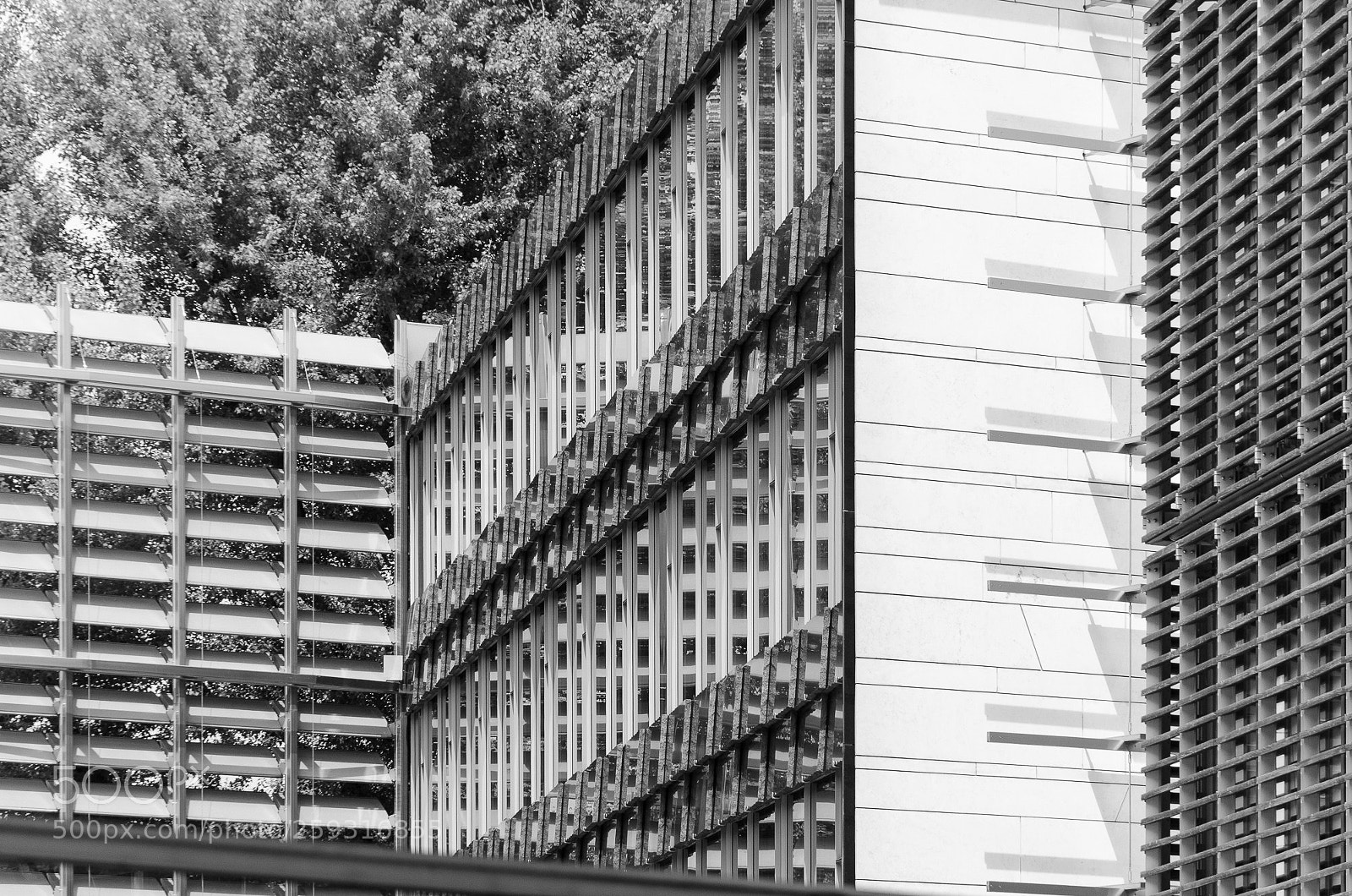 Nikon D5100 sample photo. Nordische botschaften photography