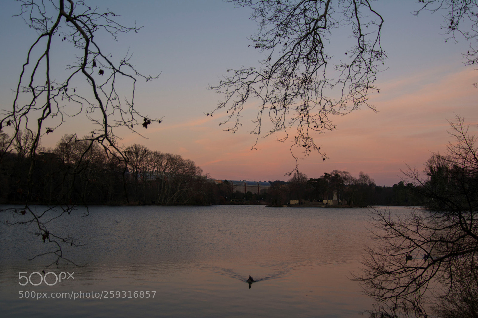 Nikon D5200 sample photo. Sunset over lake photography