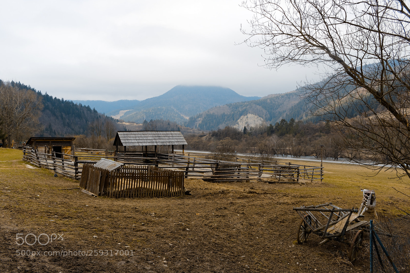 Canon EOS 700D (EOS Rebel T5i / EOS Kiss X7i) sample photo. Untitled photography