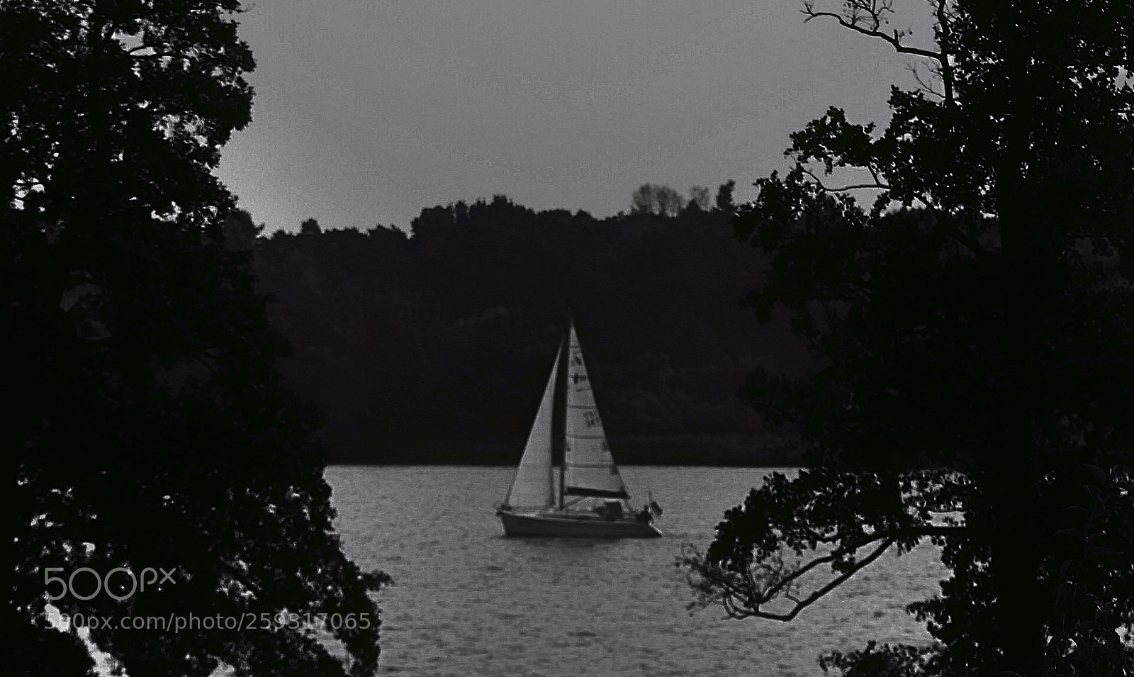 Canon EOS 500D (EOS Rebel T1i / EOS Kiss X3) sample photo. I am sailing photography