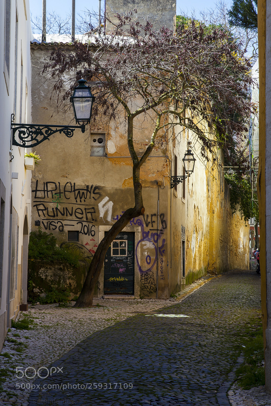 Canon EOS 5D Mark II sample photo. Calles de lisboa photography