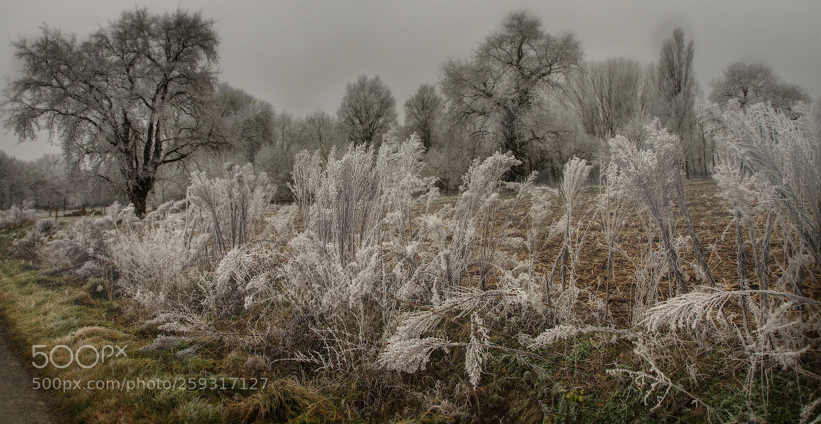 Canon EOS 7D sample photo. Paysagehiver photography