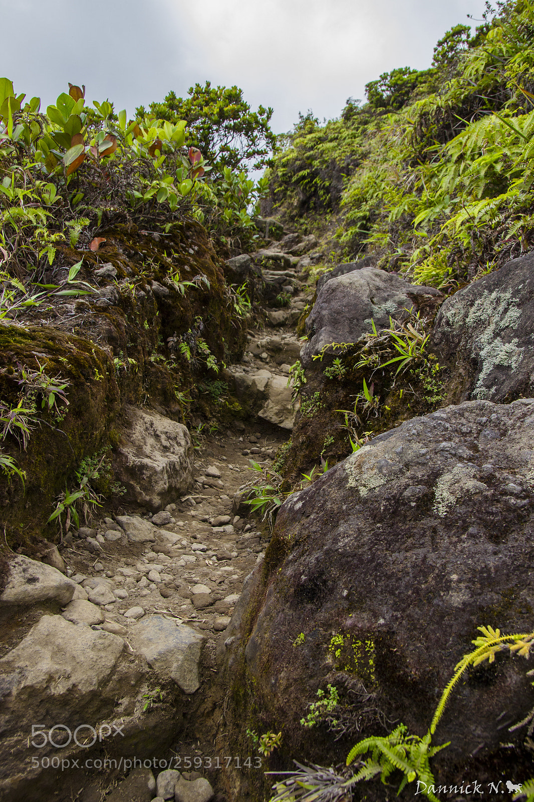 Canon EOS 600D (Rebel EOS T3i / EOS Kiss X5) sample photo. Mountains photography