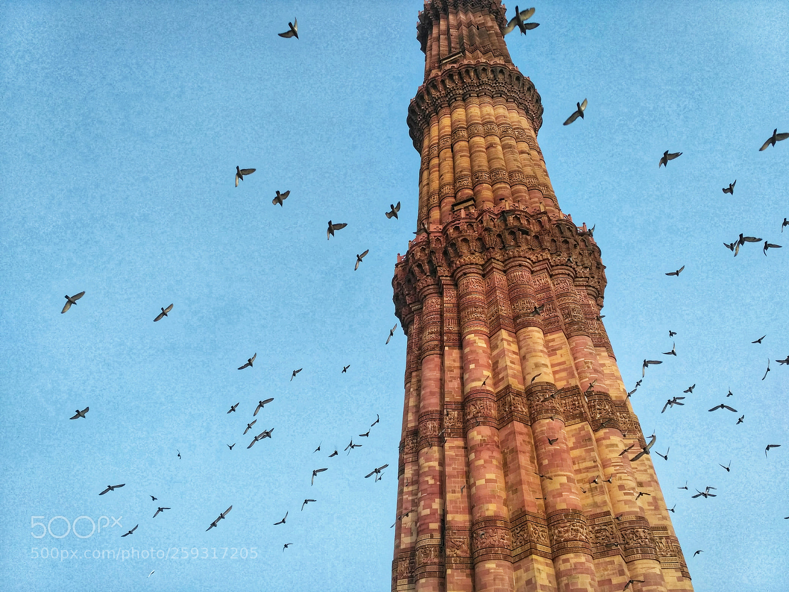 Xiaomi Redmi 3S sample photo. Birds in the sky photography