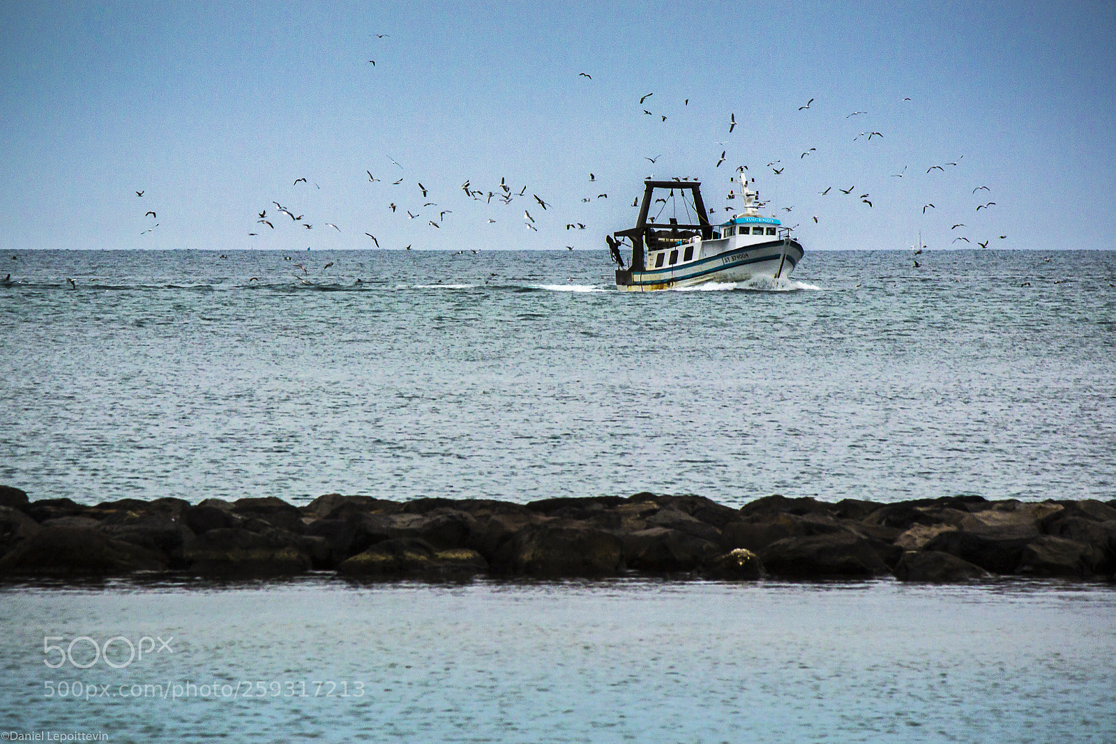 Canon EOS 600D (Rebel EOS T3i / EOS Kiss X5) sample photo. When birds are burning photography