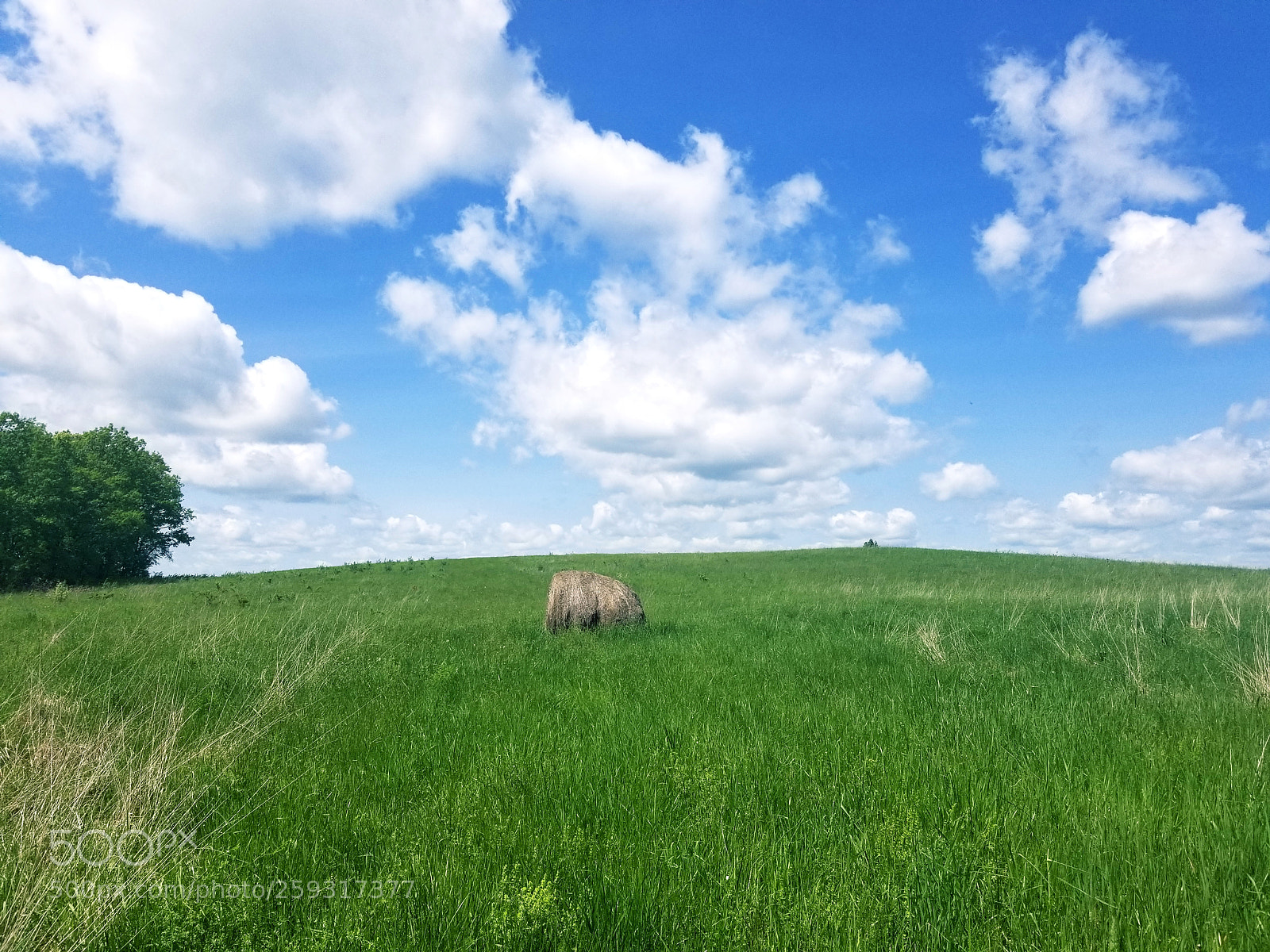Samsung Galaxy S8 sample photo. Last memory photography