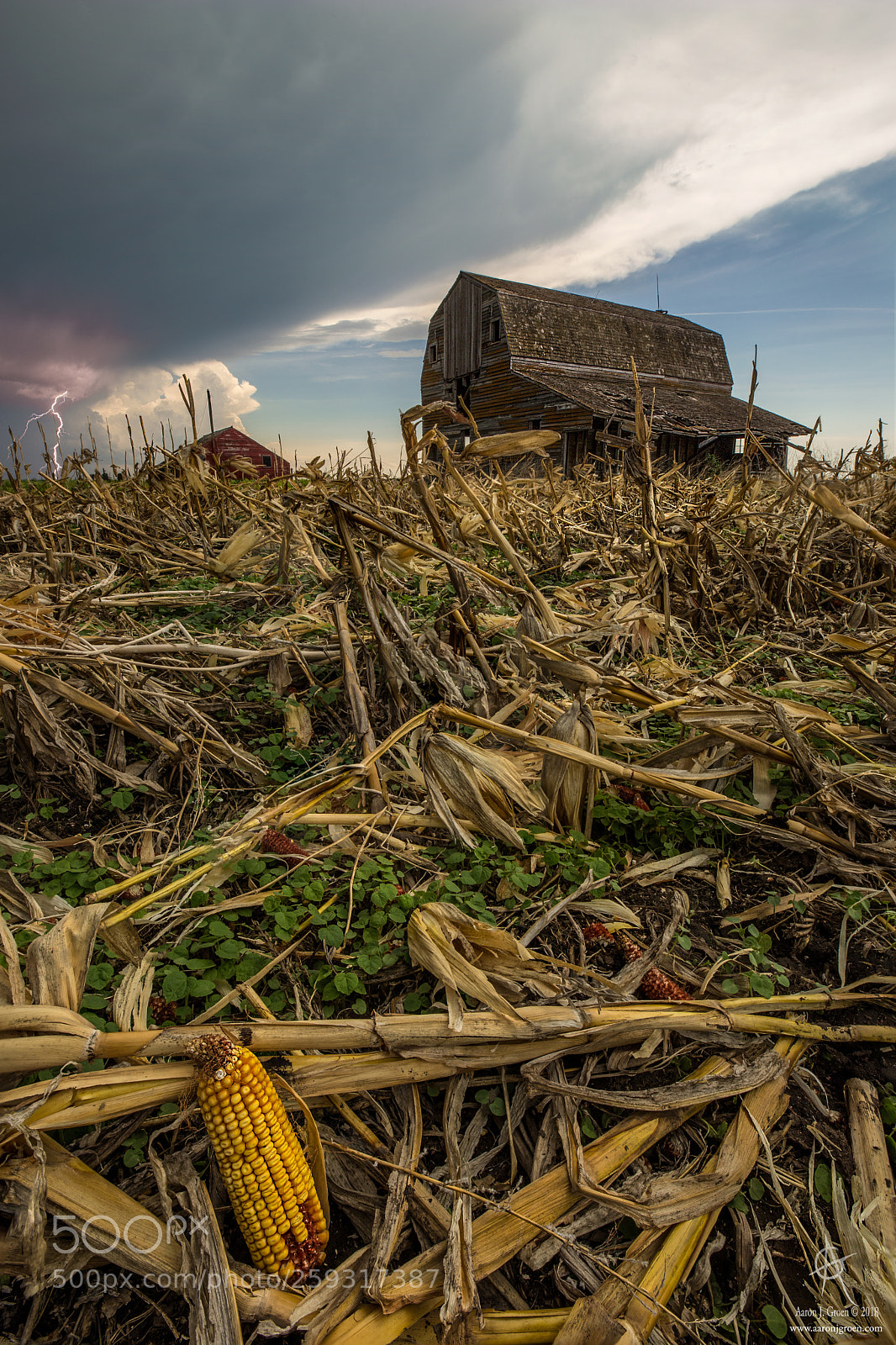 Canon EOS 6D sample photo. Barn corn photography