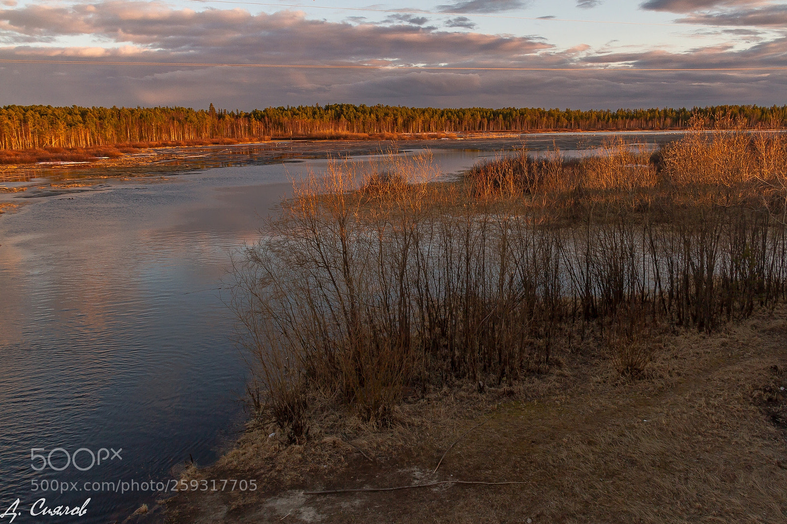 Canon EOS 7D sample photo. Ручей photography